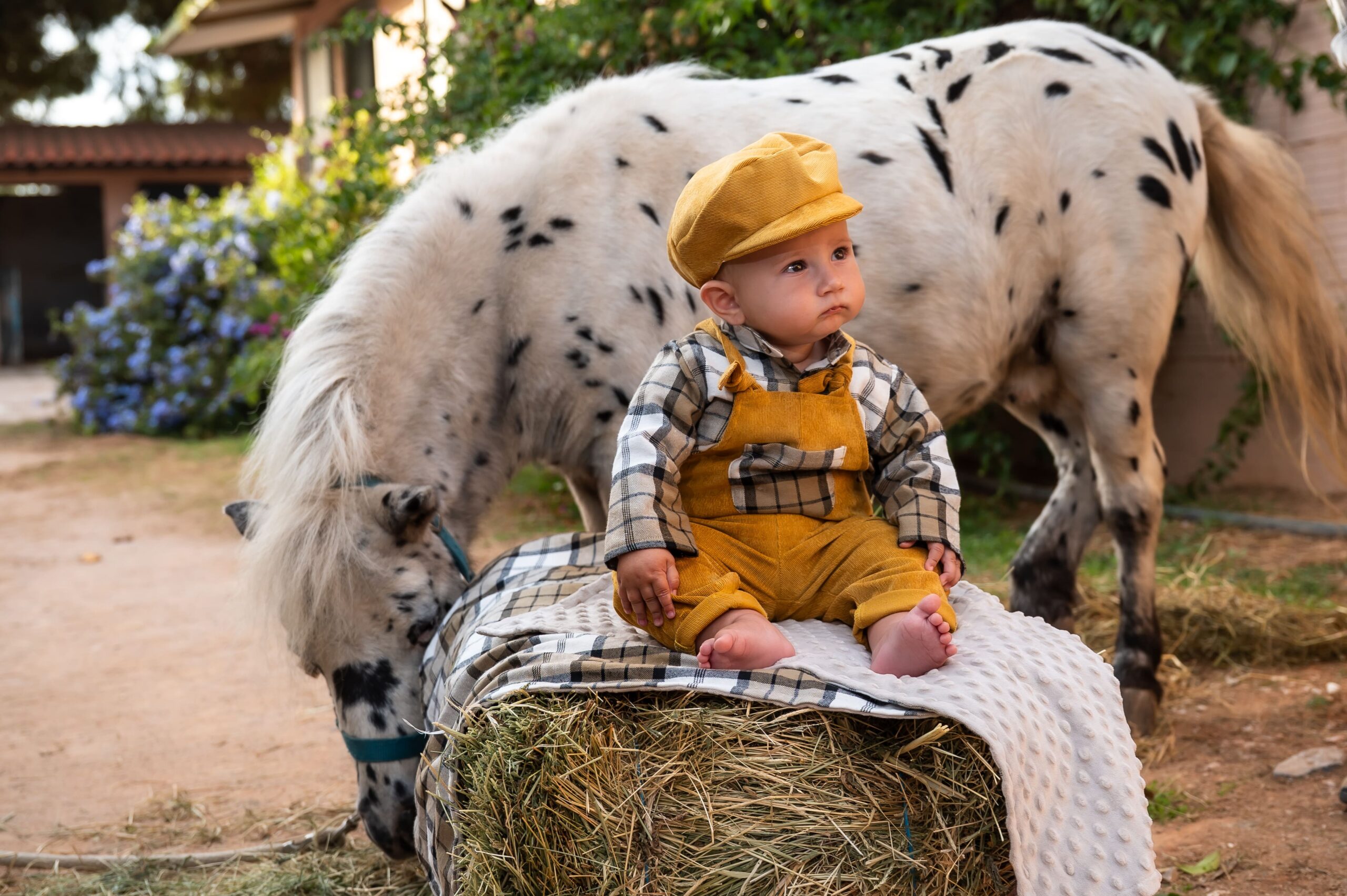 ΣΑΛΟΠΕΤΑ GOLDEN FARM ΜΟΥΣΤΑΡΔΙ ΚΟΤΛΕ ΜΕ ΓΚΡΙ/ΜΠΕΖ ΚΑΡΟ ΣΤΟΙΧΕΙΑ